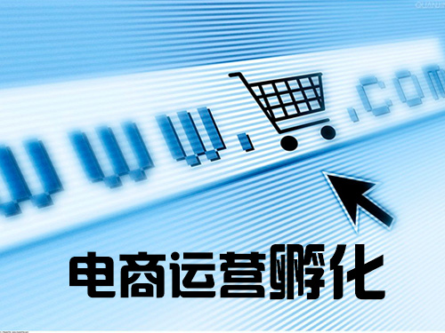 電商平臺(tái)運(yùn)營(yíng)打造